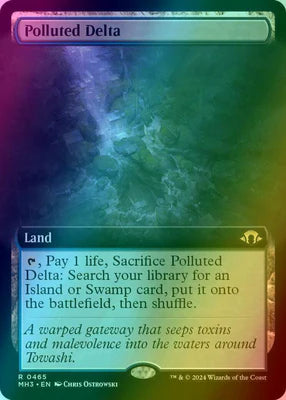 Polluted Delta (Extended Art)