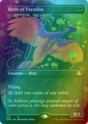 Oiseaux de Paradis (Sans bordure)